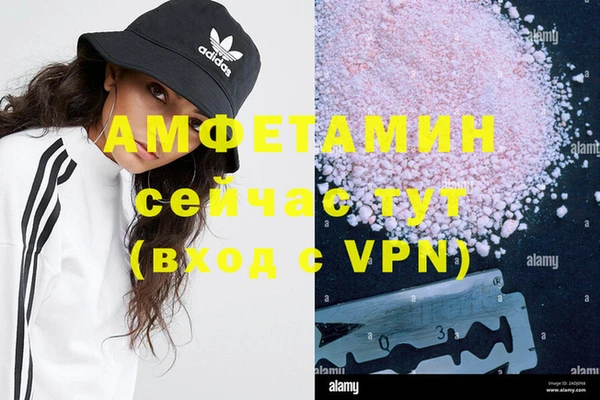 сатива Балахна
