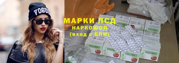 PSILOCYBIN Баксан