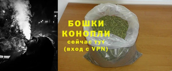 ГАЛЛЮЦИНОГЕННЫЕ ГРИБЫ Арсеньев