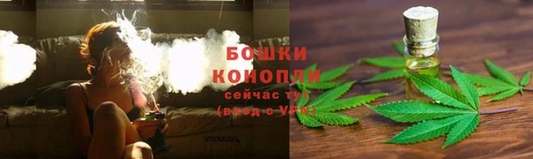 сатива Балахна