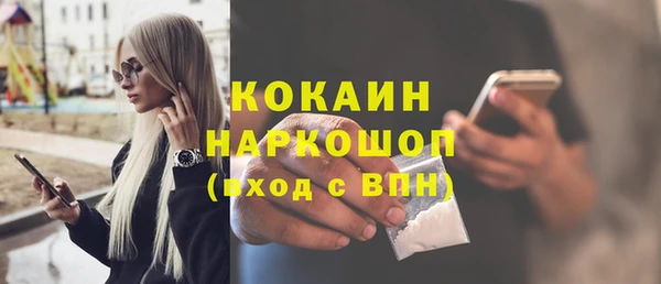 сатива Балахна